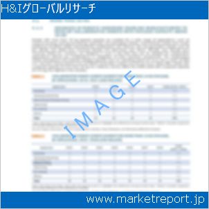 市場と産業調査レポートのイメージ
